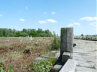 Der Moorweg