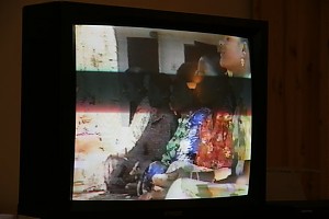 Monitorbild (gross)